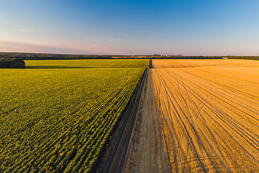 PRONAF Mais Alimentos